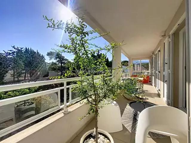 Appartement vente à Calvi