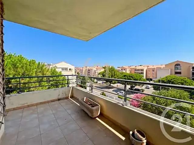 Appartement vente à Calvi
