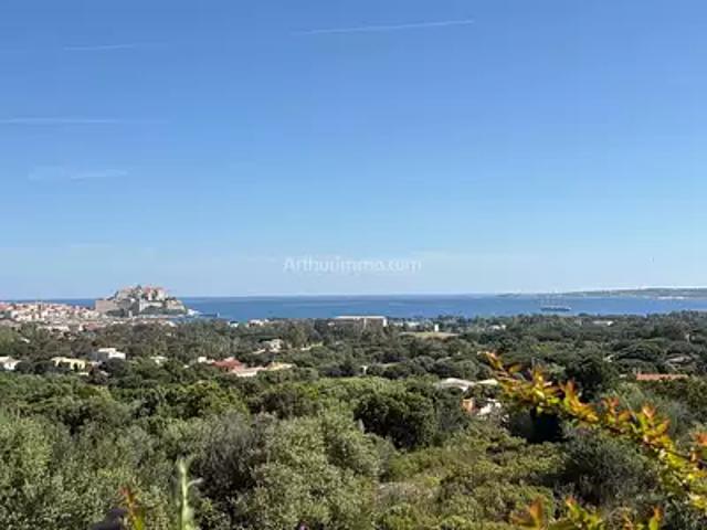 Maison vente à Calvi