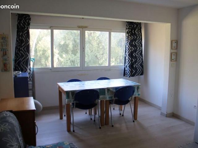 Appartement vente à Calvi