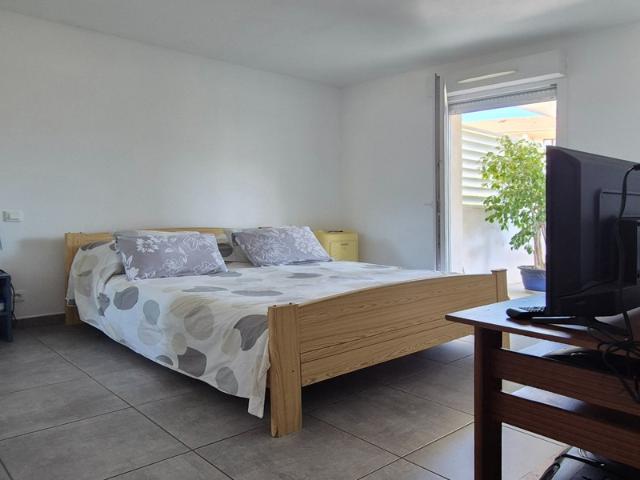 Appartement vente à Calvi
