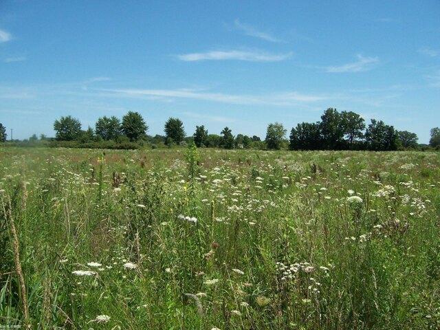 Land for sale in Memphis Land for sale in Memphis