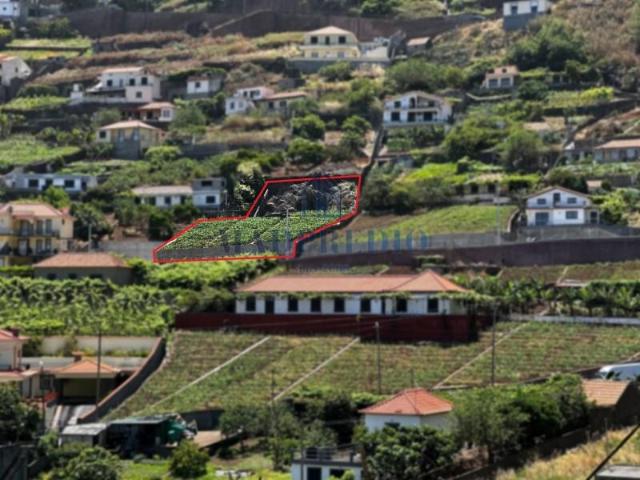 Terreno venda em Rancho, Câmara De Lobos