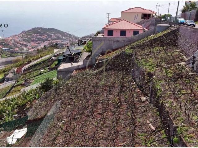 Terreno venda em Câmara De Lobos