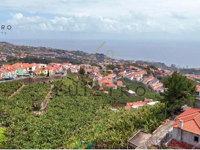 Terreno venda em Câmara De Lobos