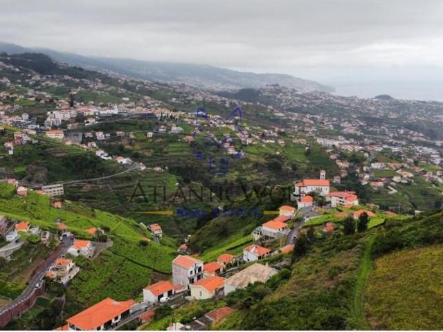 Terreno venda em Câmara De Lobos