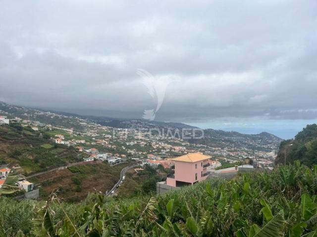 Terreno venda em Pombal, Leiria