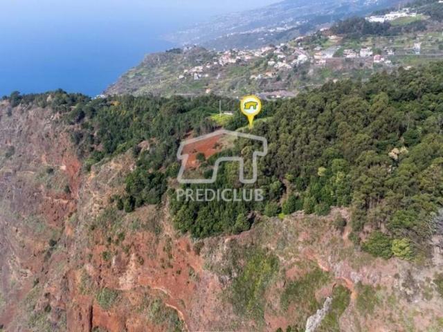 Terreno venda em Câmara De Lobos Terreno venda em Câmara De Lobos