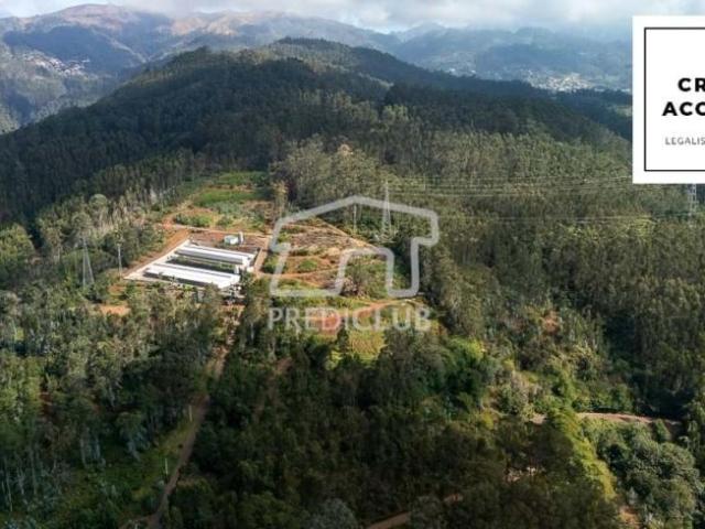 Terreno venda em Sintra, Lisboa