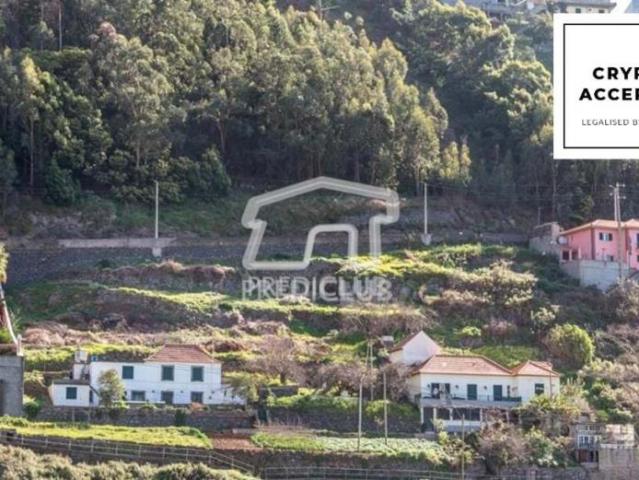 Terreno venda em Câmara De Lobos Terreno venda em Câmara De Lobos