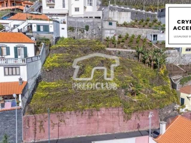 Terreno venda em Câmara De Lobos