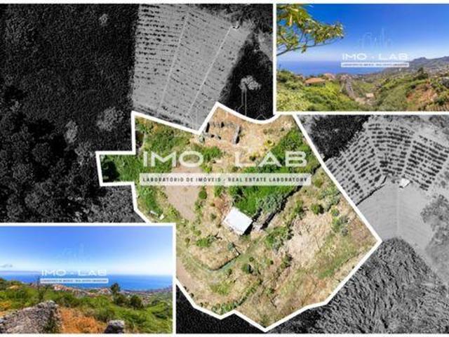 Terreno venda em Câmara De Lobos, Vargem