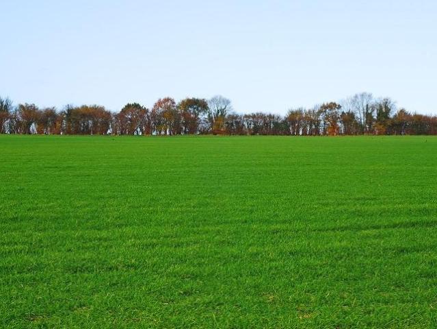 Terrain vente à Camaret-sur-aigues