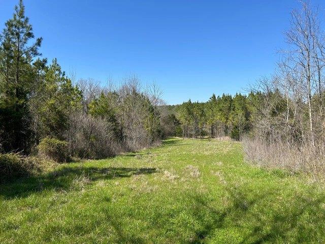 Land for sale in Nettleton, Mississippi