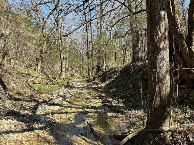 Land for sale in Nettleton, Mississippi