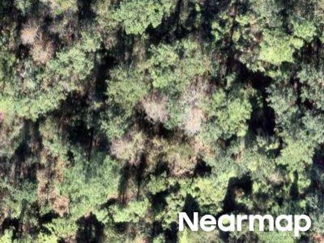Land for sale in Sebring, Florida