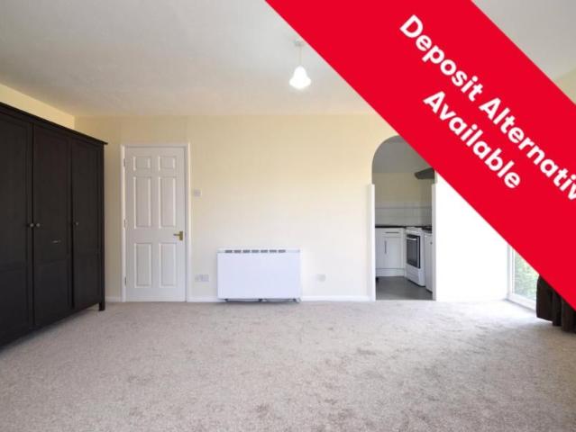 Studio for rent in The Hyde, Greater London