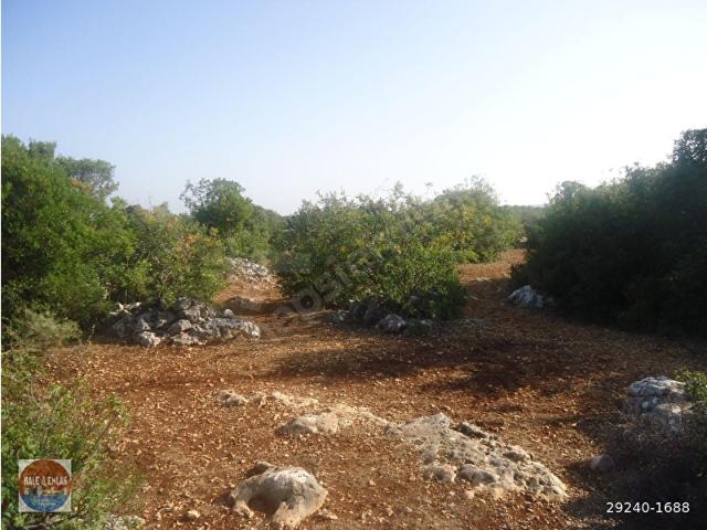Canbazlı, Silifke içerisinde satılık Arsa