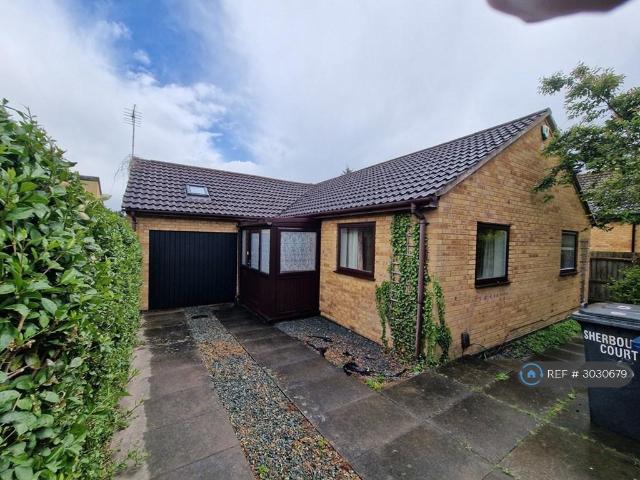 House for rent in Chesterton, Arbury