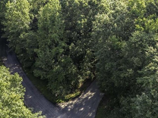 Land for sale in Haralson, Georgia