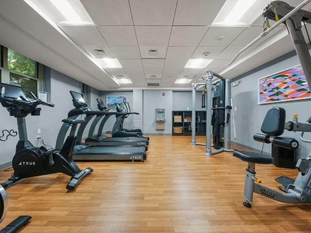 Apartment for rent in Boston, Massachusetts