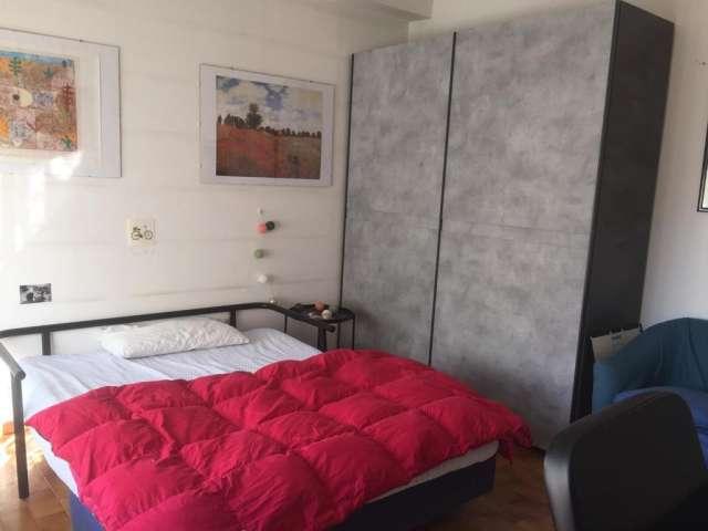 Stanza in affitto a Porto-Saragozza, Bologna