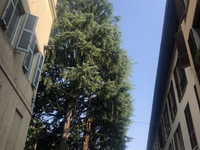 Stanza in affitto a Pavia, Lombardia