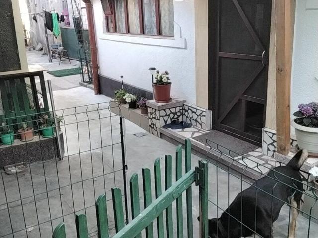 Cameră închirieri în București