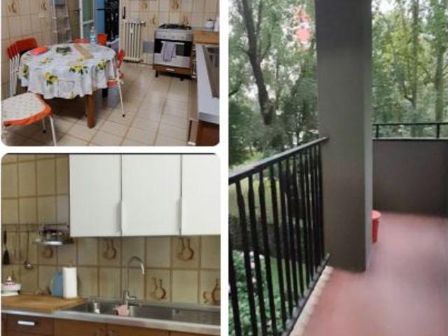 Stanza in affitto a Zona Omogenea Milano Nord, Sesto San Giovanni
