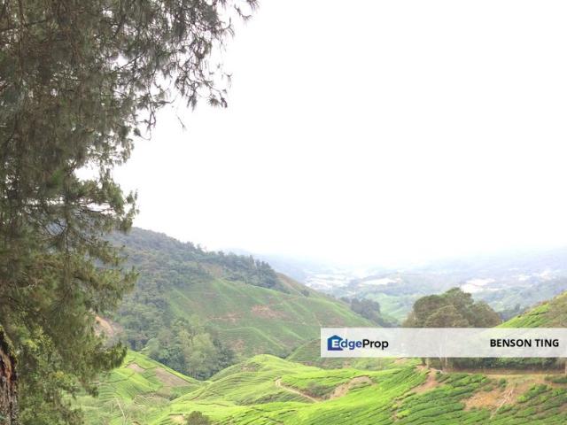 Shop for sale in Cameron Highlands, Pahang