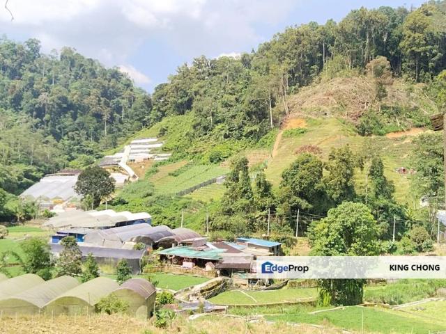 Shop for sale in Cameron Highlands, Pahang