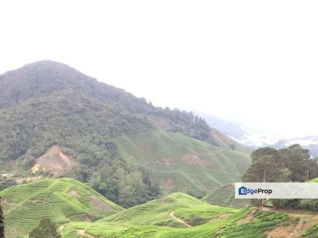 House for sale in Cameron Highlands, Pahang