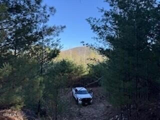 Land for sale in Chestertown, New York