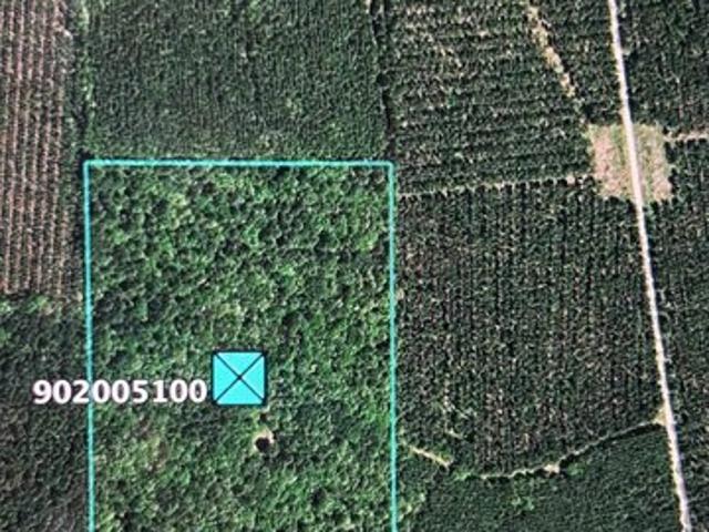 Land for sale in Morehouse, Louisiana