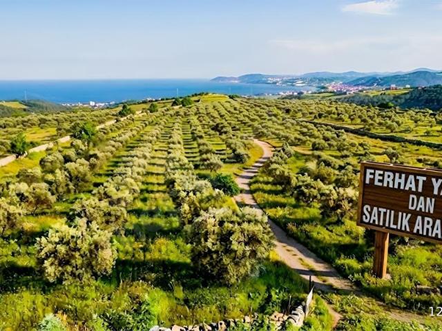 Darica, Kocaeli içerisinde satılık Arsa