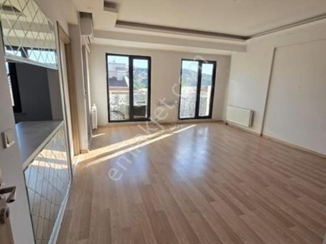 Camikebir Mahallesi, Ezine içerisinde kiralık mülk