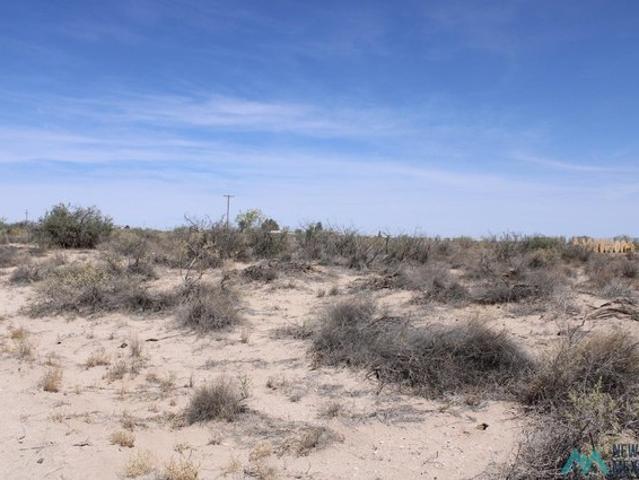 Land for sale in Luna, New Mexico