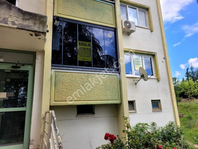 Adapazari, Sakarya içerisinde kiralık mülk
