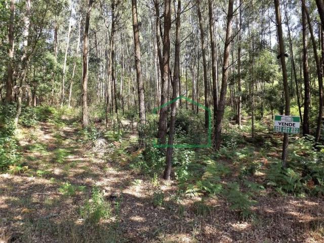 Terreno venda em Caminha (Matriz) e Vilarelho, Arga De Baixo
