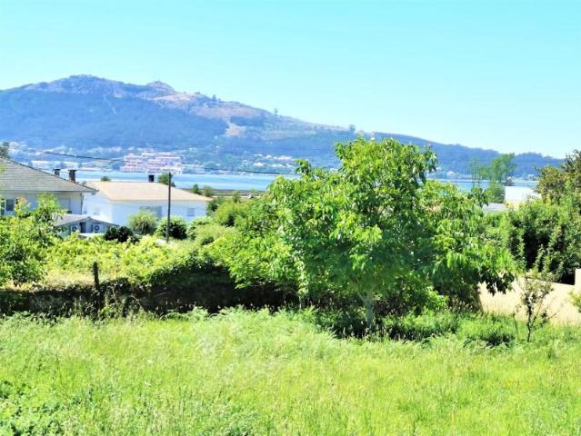 Terreno venda em Caminha (Matriz) e Vilarelho, Arga De Baixo