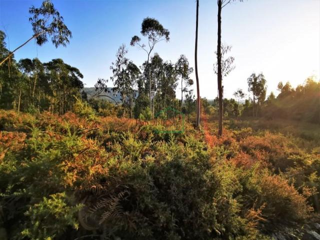 Terreno venda em Caminha (Matriz) e Vilarelho, Arga De Baixo