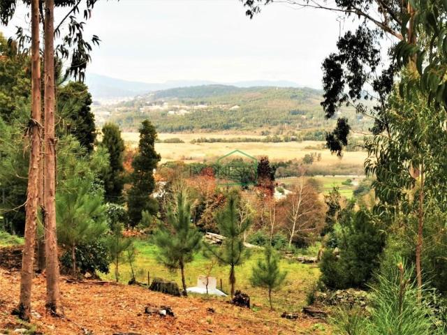 Terreno venda em Caminha (Matriz) e Vilarelho, Arga De Baixo