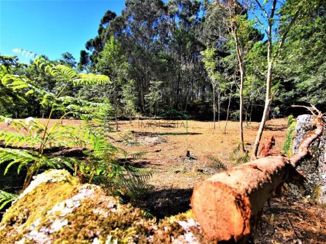 Terreno venda em Caminha (Matriz) e Vilarelho, Arga De Baixo