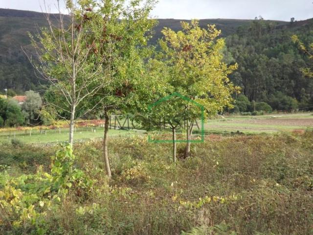Terreno venda em Caminha (Matriz) e Vilarelho, Arga De Baixo