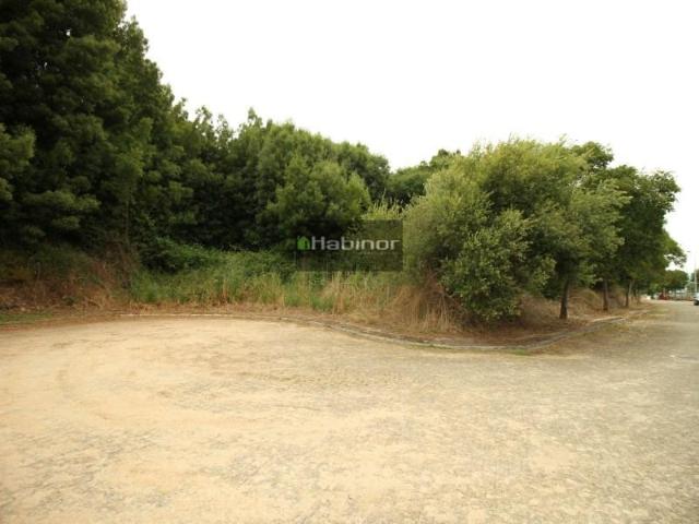 Terreno venda em Caminha (Matriz) e Vilarelho, Arga De Baixo