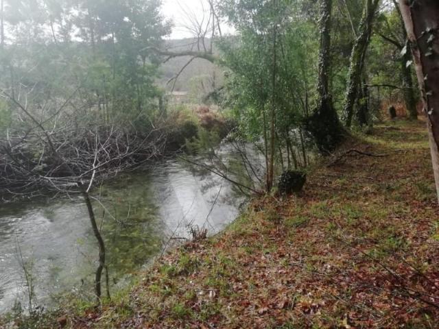 Terreno venda em Viana Do Castelo