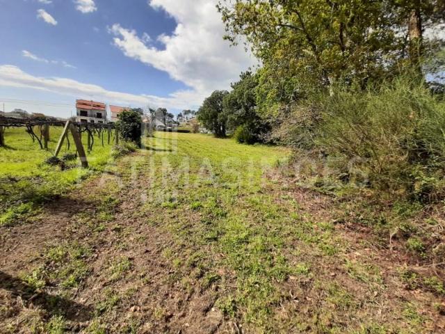 Terreno venda em Caminha (Matriz) e Vilarelho, Arga De Baixo