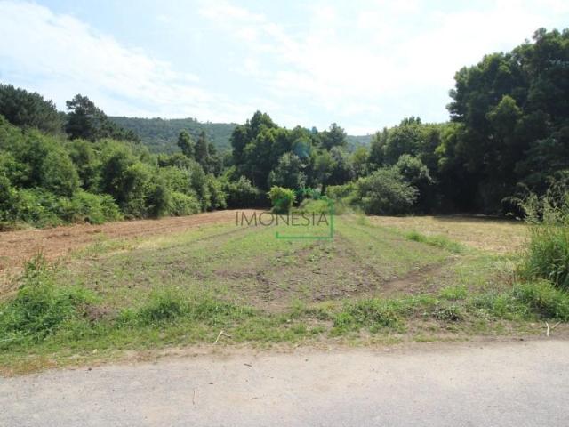 Terreno venda em Caminha (Matriz) e Vilarelho, Arga De Baixo