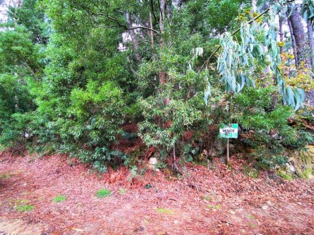 Terreno venda em Caminha (Matriz) e Vilarelho, Arga De Baixo