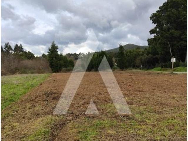 Terreno venda em Caminha (Matriz) e Vilarelho, Arga De Baixo